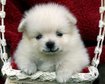 thumb-image-2024-02-29T13:59:39.712Z