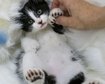 thumb-image-2024-02-29T13:59:39.850Z