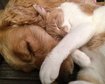 thumb-image-2024-02-29T13:59:39.915Z