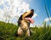 thumb-image-2024-02-29T13:59:40.048Z