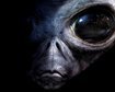 thumb-image-2024-02-29T13:59:40.066Z