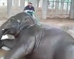thumb-image-2024-02-29T13:59:40.625Z