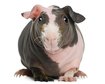 thumb-image-2024-02-29T13:59:41.038Z