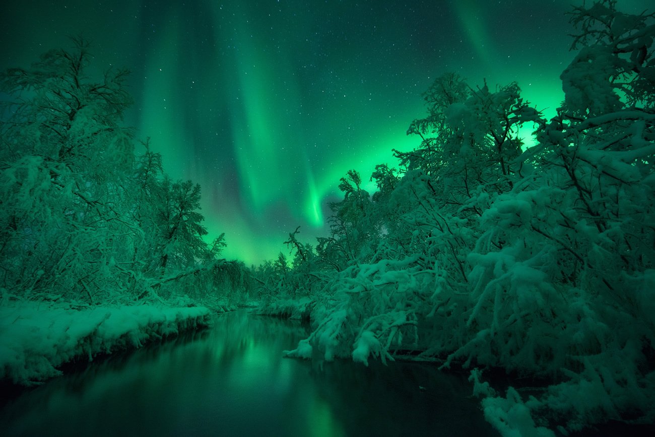 Finalista na categoria Aurorae - Sumo Waggle Adventure por Arild Heitmann (Noruega)