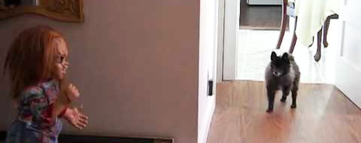 thumb-image-2024-02-29T14:01:11.055Z
