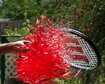 thumb-image-2024-02-29T14:01:11.252Z
