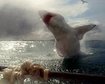 thumb-image-2024-02-29T14:01:11.399Z