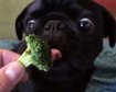 thumb-image-2024-02-29T14:01:11.630Z