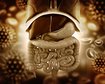 thumb-image-2024-02-29T14:01:11.827Z