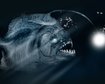 thumb-image-2024-02-29T14:01:12.133Z
