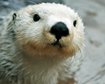 thumb-image-2024-02-29T14:01:12.700Z