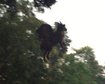 thumb-image-2024-02-29T14:01:12.824Z