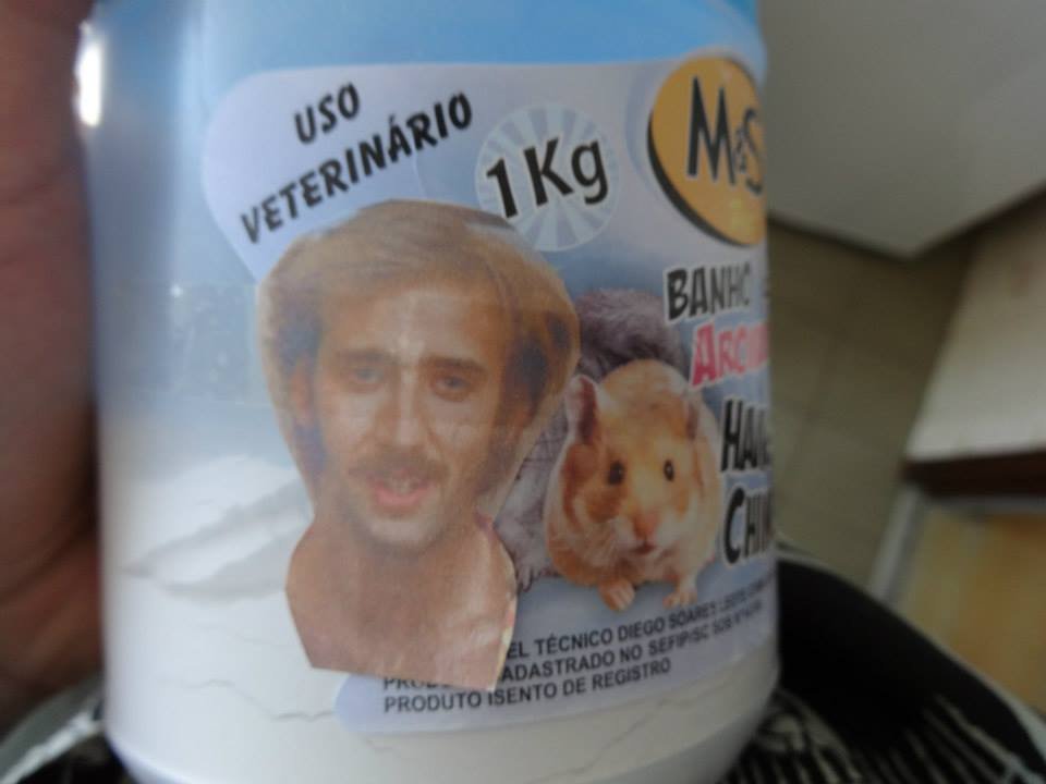 Homem encontra mais de 600 fotos do Nicolas Cage espalhadas pela casa