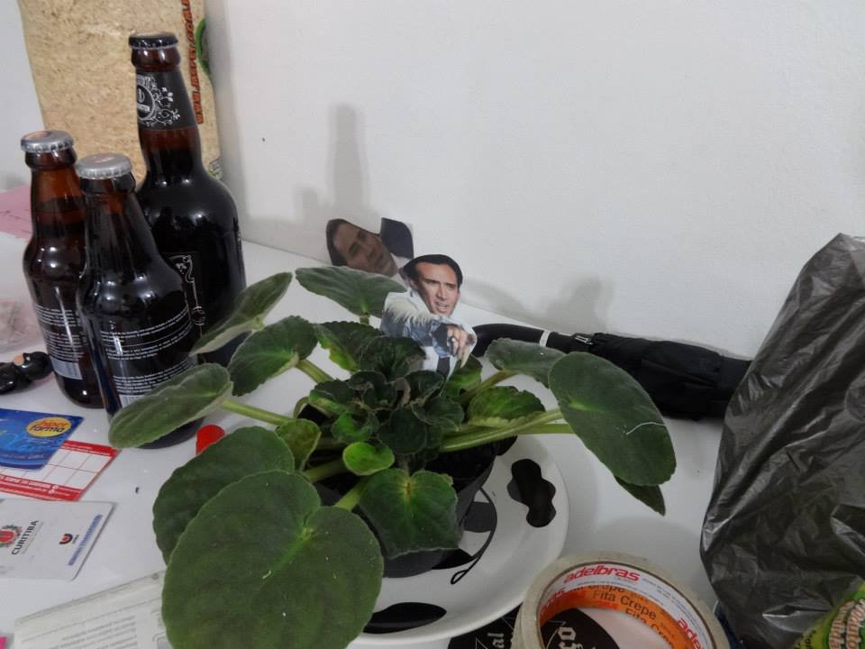 Homem encontra mais de 600 fotos do Nicolas Cage espalhadas pela casa