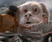 thumb-image-2024-02-29T14:01:13.283Z