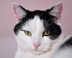 thumb-image-2024-02-29T14:01:13.551Z