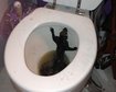 thumb-image-2024-02-29T14:01:13.772Z