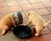 thumb-image-2024-02-29T14:01:14.637Z