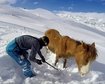 thumb-image-2024-02-29T14:01:14.965Z