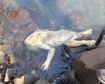 thumb-image-2024-02-29T14:01:15.350Z