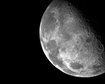 thumb-image-2024-02-29T14:01:15.651Z