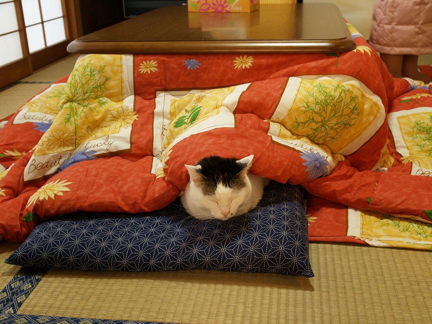 Conheça o kotatsu: o artefato que não vai deixar você levantar