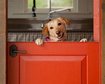 thumb-image-2024-02-29T14:01:15.767Z