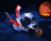 thumb-image-2024-02-29T14:01:15.826Z
