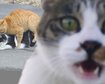 thumb-image-2024-02-29T14:01:15.886Z