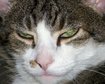 thumb-image-2024-02-29T14:01:16.245Z