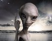 thumb-image-2024-02-29T14:01:16.884Z