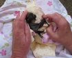 thumb-image-2024-02-29T14:01:17.391Z