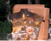 thumb-image-2024-02-29T14:01:17.476Z