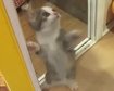 thumb-image-2024-02-29T14:01:17.494Z