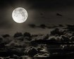 thumb-image-2024-02-29T14:01:17.506Z
