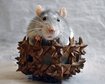 thumb-image-2024-02-29T14:01:17.714Z