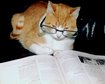thumb-image-2024-02-29T14:01:18.431Z