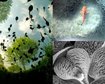 thumb-image-2024-02-29T14:01:18.536Z
