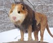 thumb-image-2024-02-29T14:01:18.546Z
