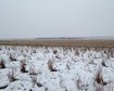 thumb-image-2024-02-29T14:01:18.867Z
