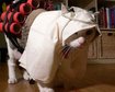 thumb-image-2024-02-29T14:01:19.030Z