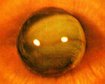 thumb-image-2024-02-29T14:01:19.600Z