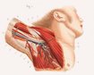 thumb-image-2024-02-29T14:01:19.682Z