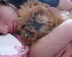 thumb-image-2024-02-29T14:01:21.110Z