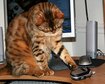 thumb-image-2024-02-29T14:01:21.214Z
