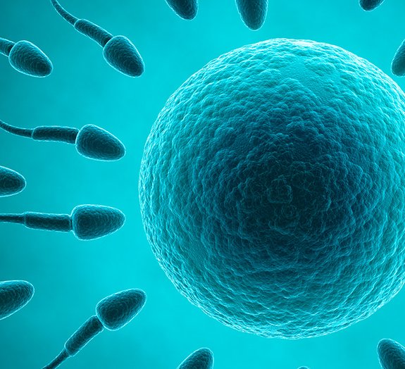 7 fatos que você ainda não sabia sobre o espermatozoide