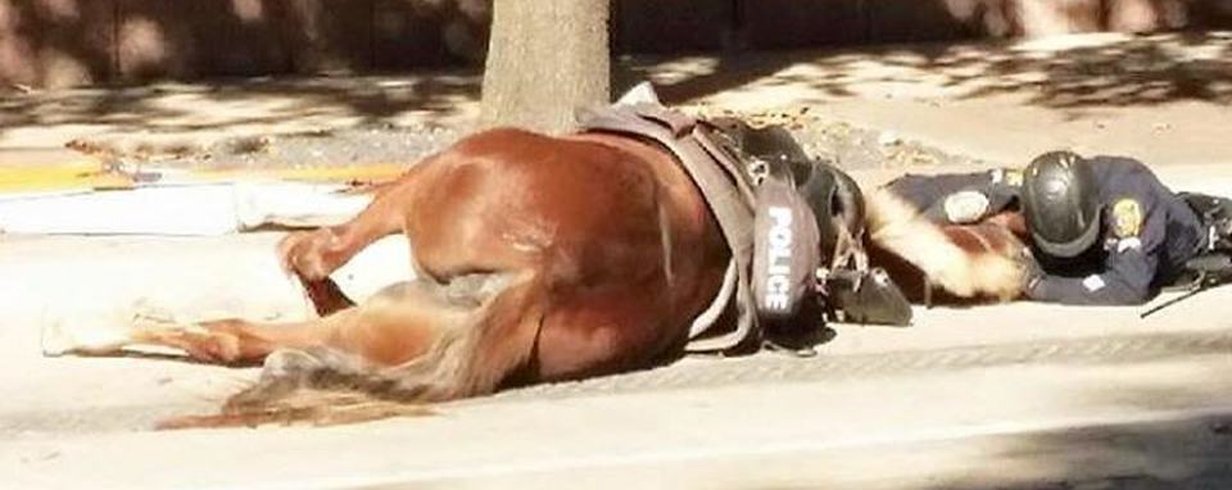 thumb-image-2024-02-29T14:01:21.823Z