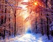 thumb-image-2024-02-29T14:01:21.854Z