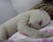 thumb-image-2024-02-29T14:01:22.394Z