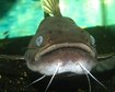 thumb-image-2024-02-29T14:01:22.487Z